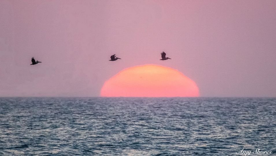 Three in formation