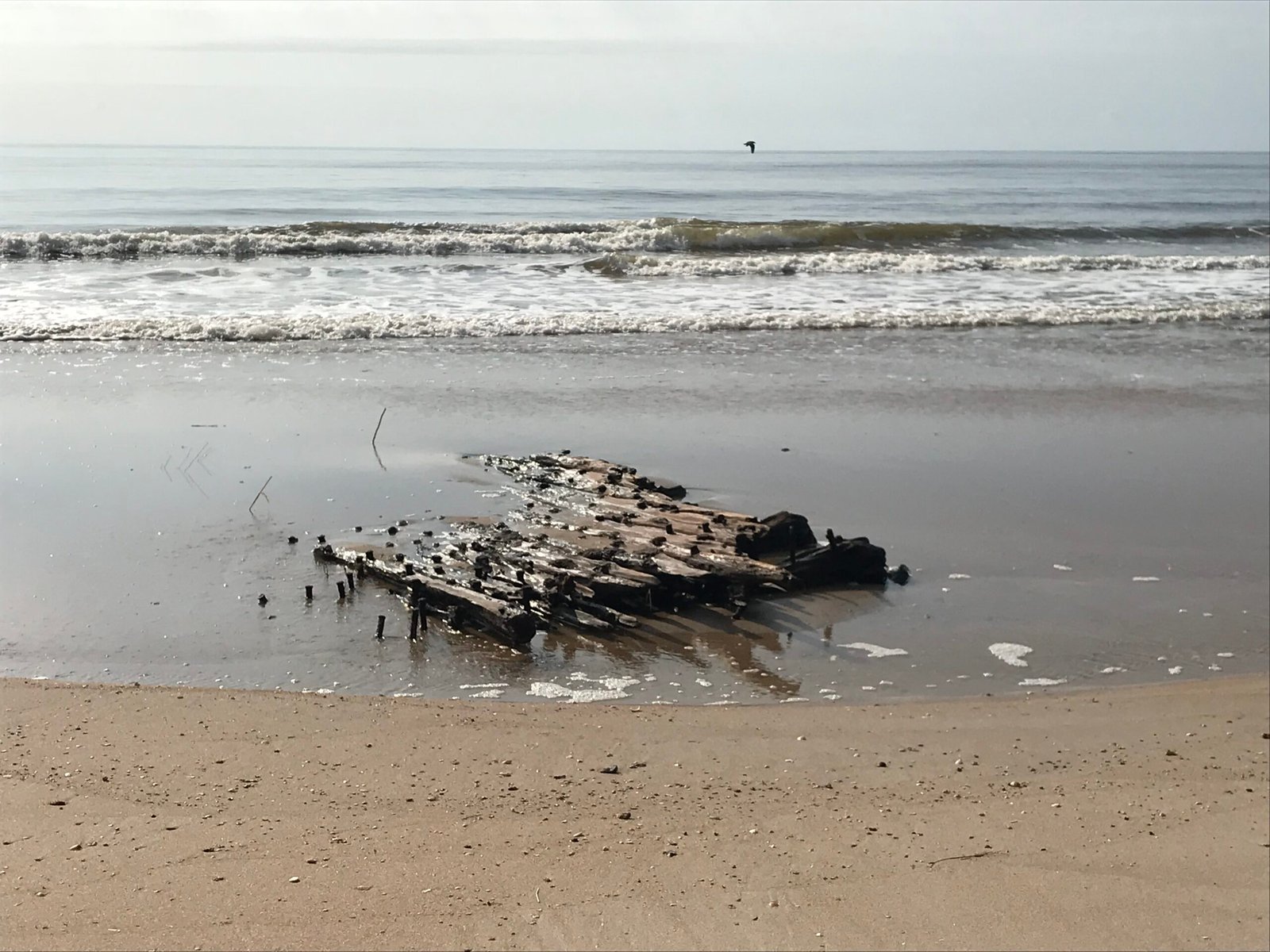 Wiliam H Sumner shipwreck